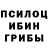Псилоцибиновые грибы GOLDEN TEACHER Niusha Depp