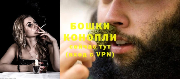 хмурый Покачи