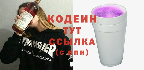 хмурый Покачи
