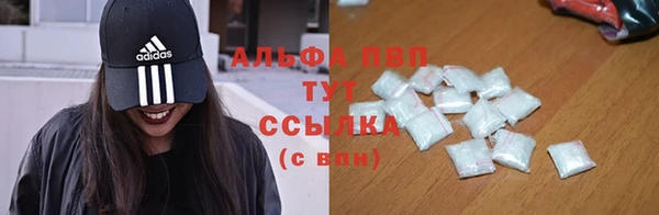 хмурый Покачи