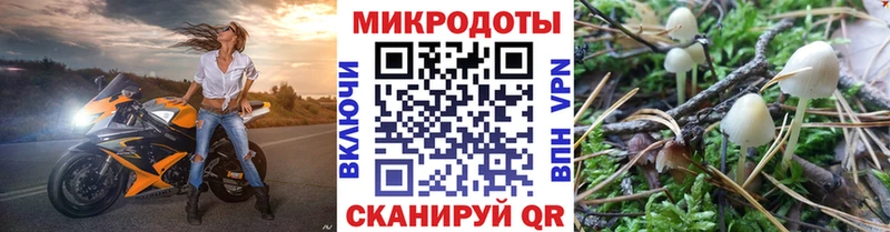 Псилоцибиновые грибы мицелий  Салават 