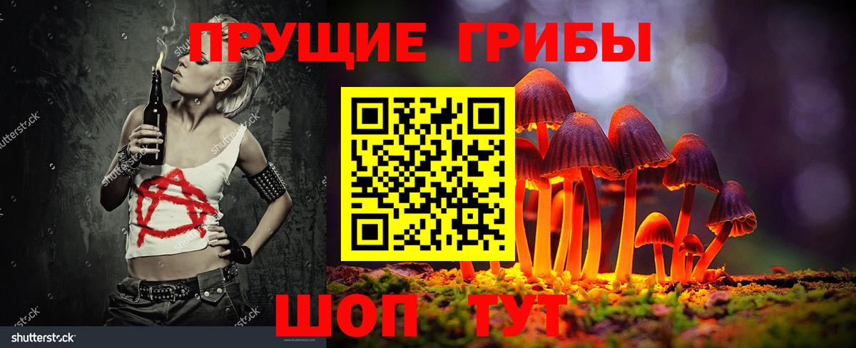 Галлюциногенные грибы Psilocybine cubensis  Салават 